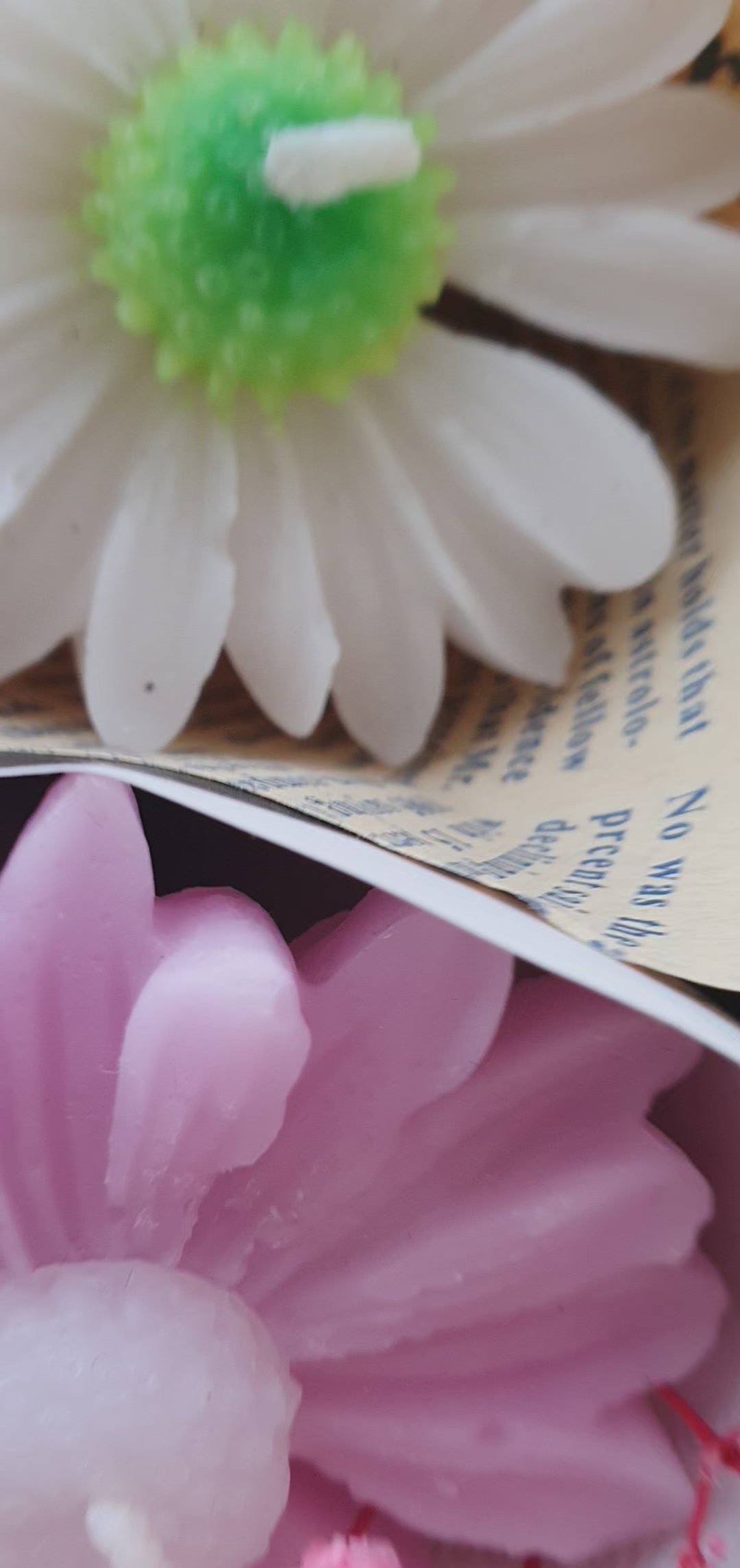 توزيعات الورد